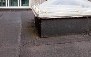 disadvantages of Ford Green flat roofs