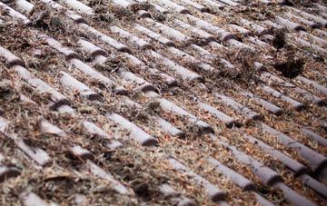 Ford Green roof cleaning companies