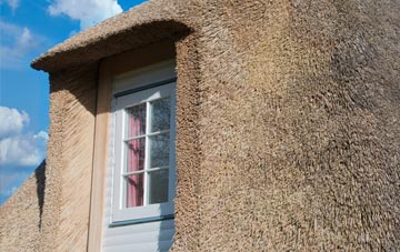 Ford Green thatch roof disadvantages