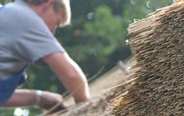 professional Ford Green thatchers