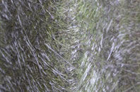 Ford Green fibreglass roof work