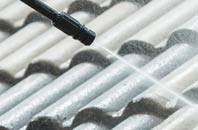 rated Ford Green roof cleaning companies